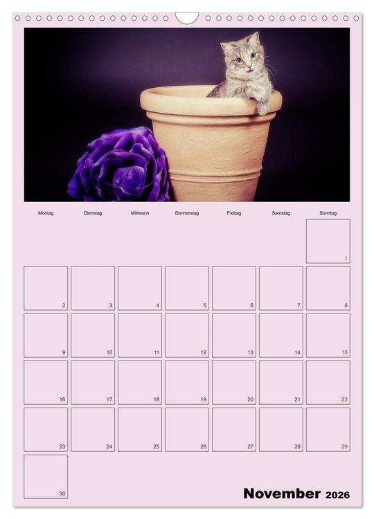 Produktbild: Mit Katzen durchs Jahr / Planer (Wandkalender 2026 DIN A3 hoch), CALVENDO Monatskalender