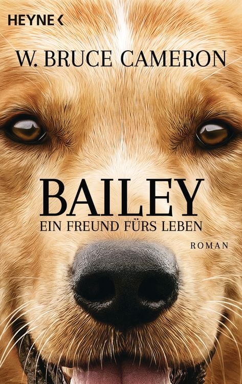 Produktbild: Bailey - Ein Freund f&uuml;rs Leben