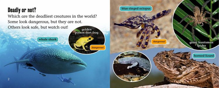 Produktbild: World's Deadliest Creatures