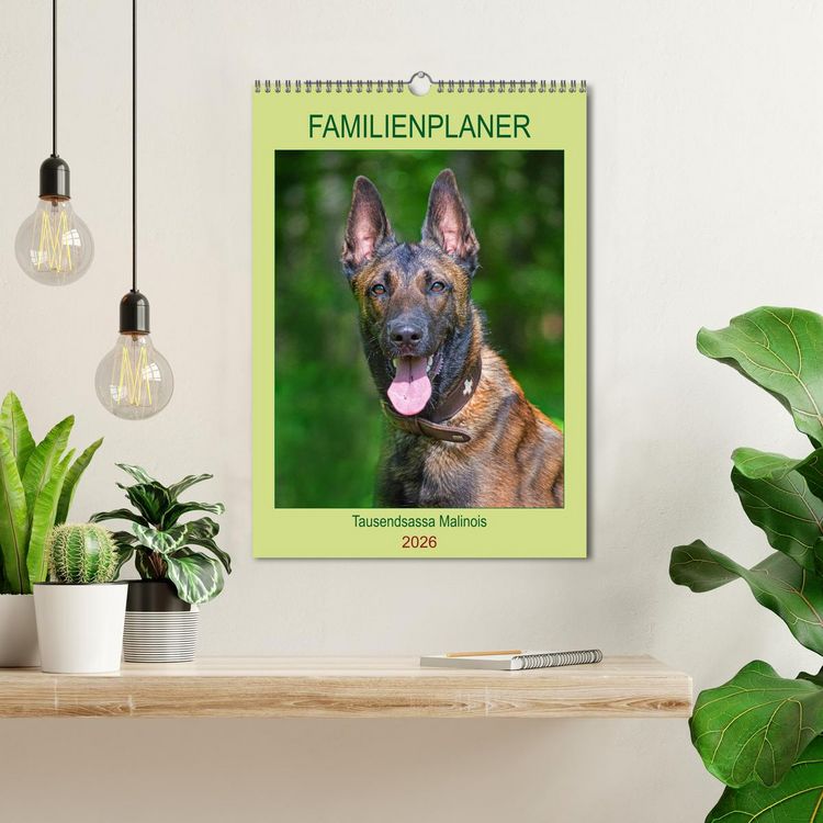 Produktbild: Familienplaner Tausendsassa Malinois (Wandkalender 2026 DIN A3 hoch), CALVENDO Monatskalender
