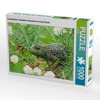 Produktbild: CALVENDO Puzzle Europ&auml;isches Cham&auml;leon sitzt getarnt in einem Busch. | 1000 Teile Lege-Gr&ouml;&szlig;e 64x48cm Foto-Puzzle f&uuml;r gl&uuml;ckliche Stunden