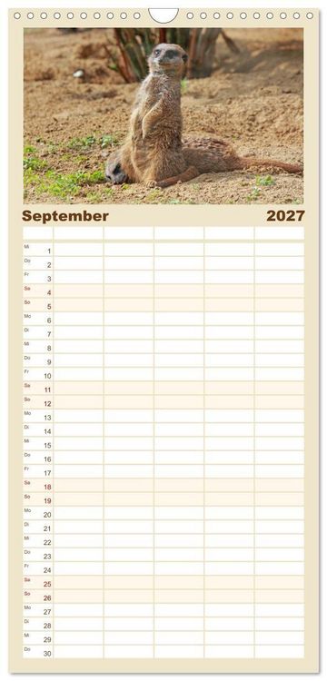Produktbild: Familienplaner 2027 - Erdm&auml;nnchen mit 5 Spalten (Wandkalender, 21 x 45 cm) CALVENDO