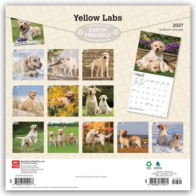 Produktbild: Yellow Labrador Retriever &ndash; Gelber Labrador Retriever 2027 &ndash; 16-Monatskalender
