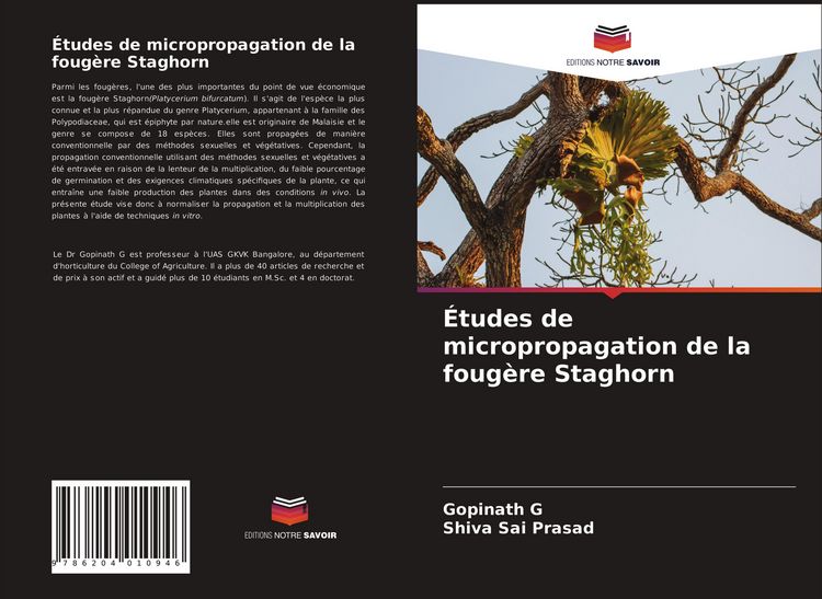 Produktbild: &Eacute;tudes de micropropagation de la foug&egrave;re Staghorn