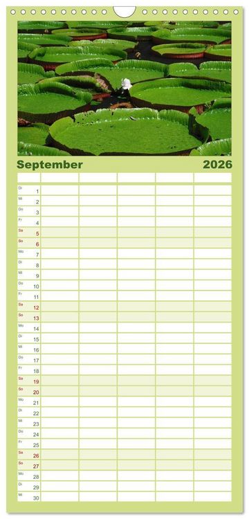 Produktbild: Familienplaner 2026 - Mauritius mit 5 Spalten (Wandkalender, 21 x 45 cm) CALVENDO
