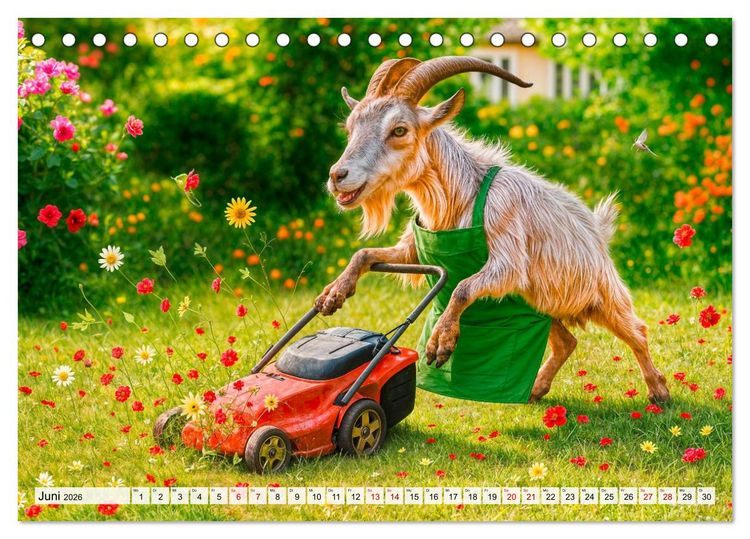 Produktbild: Tierische Redewendungen - Ein Kalender voller Spr&uuml;che und Sprachbilder (Tischkalender 2026 DIN A5 quer), CALVENDO Monatskalender