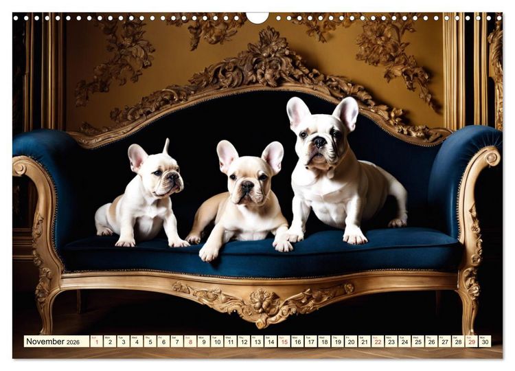 Produktbild: Little kings - French Bulldogs (Wall Calendar 2026 DIN A3 landscape), CALVENDO 12 Month Wall Calendar