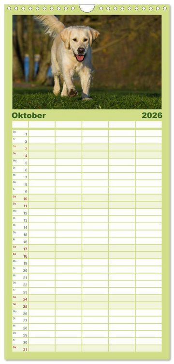Produktbild: Familienplaner 2026 - Das Gl&uuml;ck hat einen Namen - Golden Retriever mit 5 Spalten (Wandkalender, 21 x 45 cm) CALVENDO