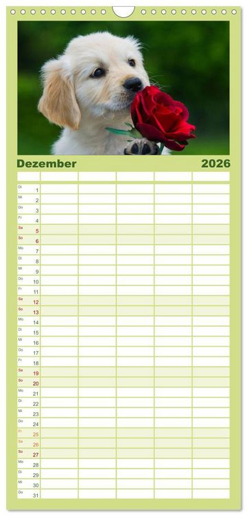 Produktbild: Familienplaner 2026 - Golden Retriever - Ein Herz auf 4 Pfoten mit 5 Spalten (Wandkalender, 21 x 45 cm) CALVENDO
