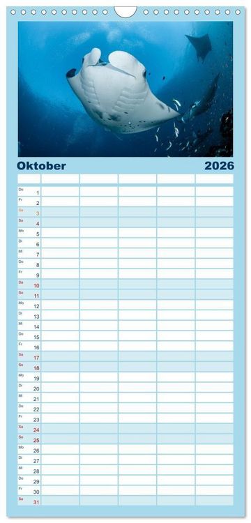 Produktbild: Familienplaner 2026 - Faszinierende Meereswelt der Malediven mit 5 Spalten (Wandkalender, 21 x 45 cm) CALVENDO