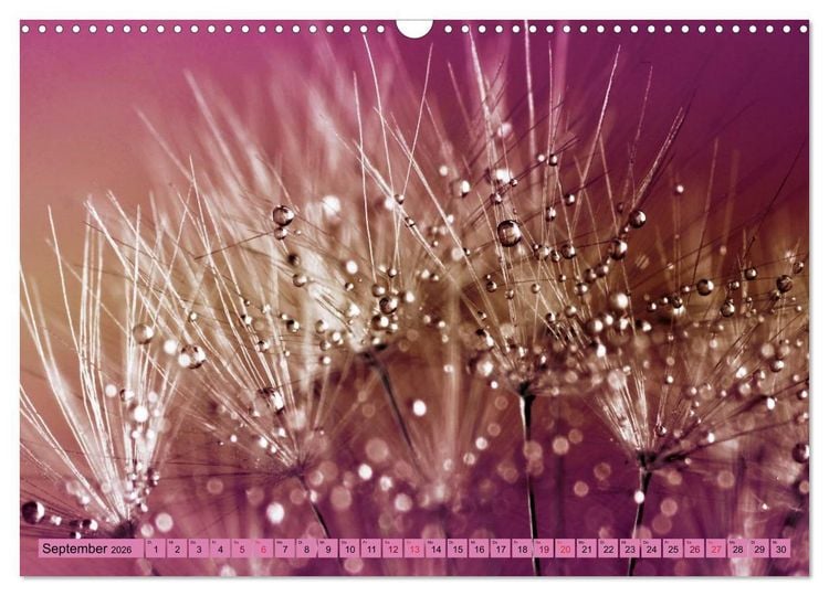 Produktbild: Lila - die mystische Farbe (Wandkalender 2026 DIN A3 quer), CALVENDO Monatskalender