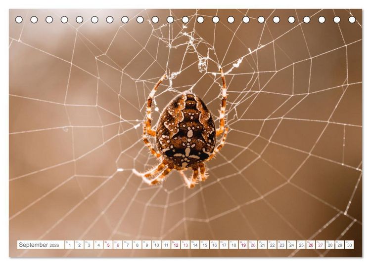 Produktbild: In der Natur unterwegs (Tischkalender 2026 DIN A5 quer), CALVENDO Monatskalender