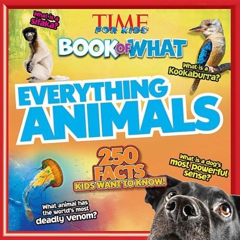 Produktbild: Everything Animals (Time for Kids Book of What)
