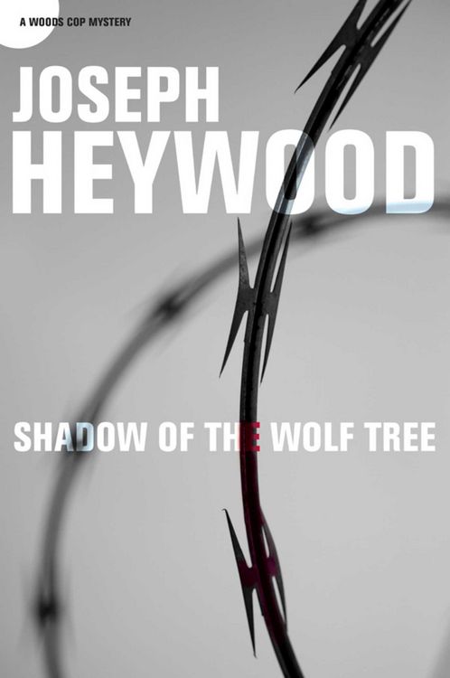Produktbild: Shadow of the Wolf Tree