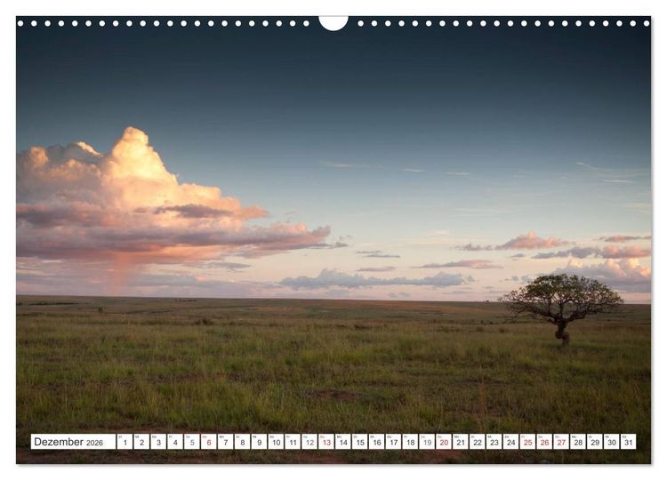 Produktbild: Madagaskar. Traumhafte Natur und Tierwelt (Wandkalender 2026 DIN A3 quer), CALVENDO Monatskalender