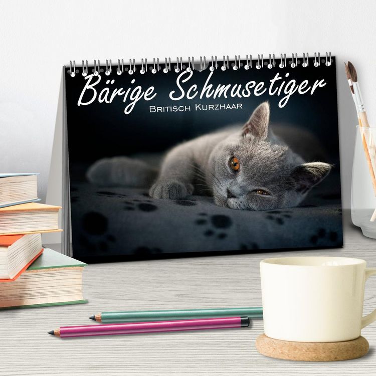 Produktbild: B&auml;rige Schmusetiger - Britisch Kurzhaar / CH-Version (Tischkalender 2026 DIN A5 quer), CALVENDO Monatskalender