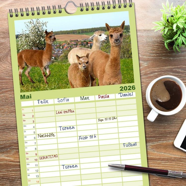 Produktbild: Familienplaner 2026 - Alpakas zum Verlieben mit 5 Spalten (Wandkalender, 21 x 45 cm) CALVENDO