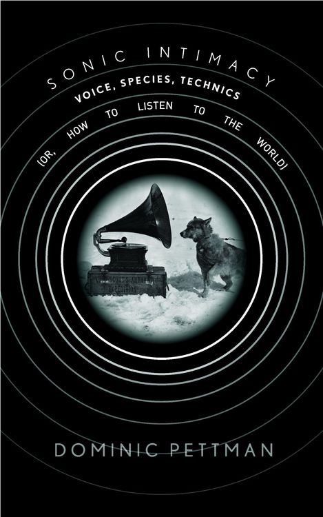 Produktbild: Sonic Intimacy