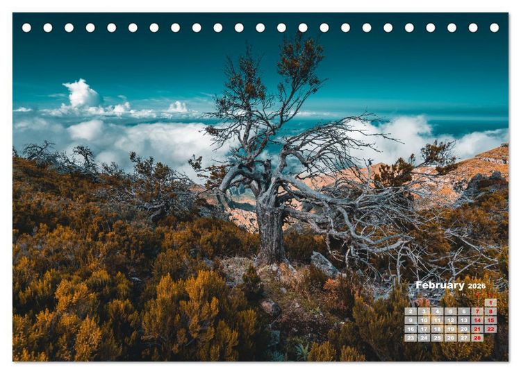 Produktbild: Madeira Island - Portugal (Desk Calendar 2026 DIN A5 landscape), CALVENDO 12 Month DeskCalendar