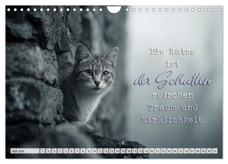 Produktbild: Katzenpoesie - Herzber&uuml;hrende Verse (Wandkalender 2026 DIN A4 quer), CALVENDO Monatskalender