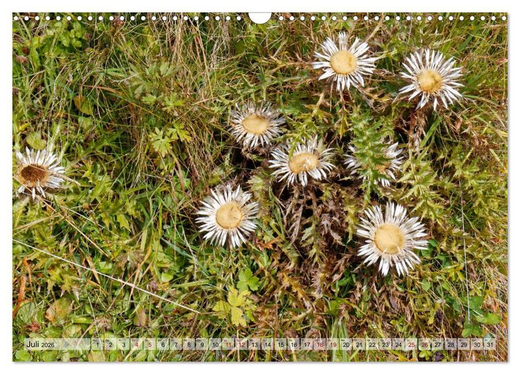 Produktbild: Herbst im Tannheimer Tal - Impressionen von Schattwald bis Nesselw&auml;ngle (Wandkalender 2026 DIN A3 quer), CALVENDO Monatskalender