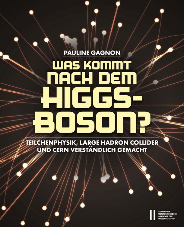 Produktbild: Was kommt nach dem Higgs-Boson?