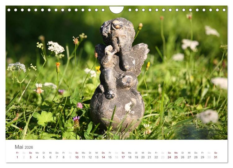 Produktbild: Engel in Haus und Garten (Wandkalender 2026 DIN A4 quer), CALVENDO Monatskalender
