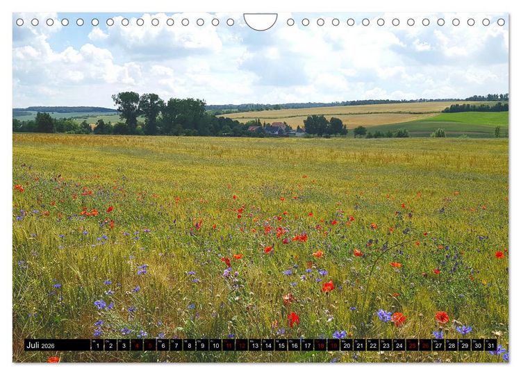Produktbild: Kyffh&auml;user-Land Stille Landschaften - Geheimnisvolle Orte (Wandkalender 2026 DIN A4 quer), CALVENDO Monatskalender