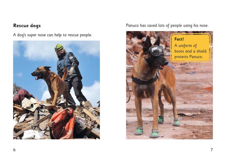 Produktbild: Super Dogs