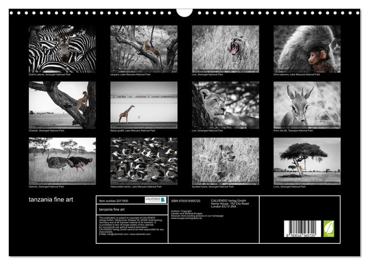 Produktbild: tanzania fine art (Wall Calendar 2026 DIN A3 landscape), CALVENDO 12 Month Wall Calendar