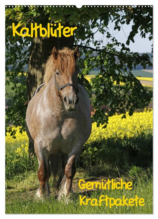 Produktbild: Kaltbl&uuml;ter (Wandkalender 2026 DIN A2 hoch), CALVENDO Monatskalender