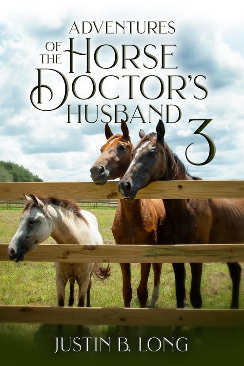 Produktbild: Adventures of the Horse Doctor's Husband 3
