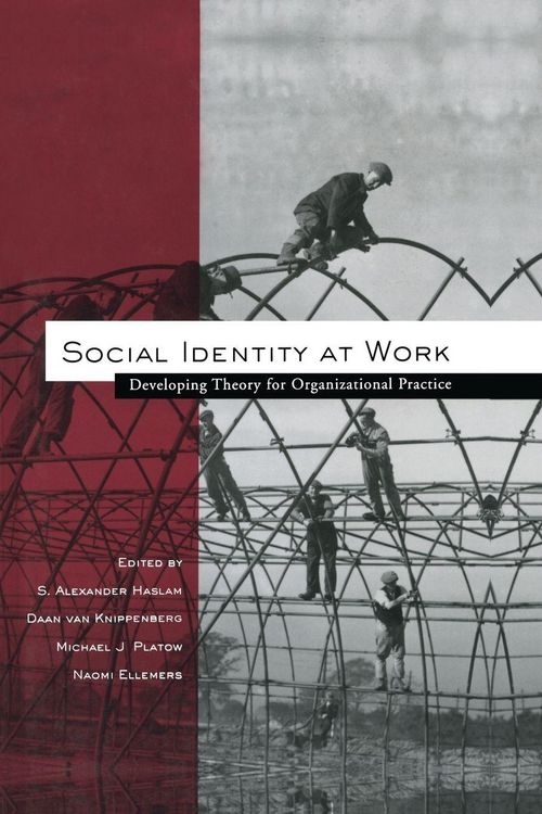 Produktbild: Social Identity at Work