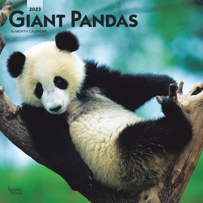 Produktbild: Giant Pandas 2023 Square
