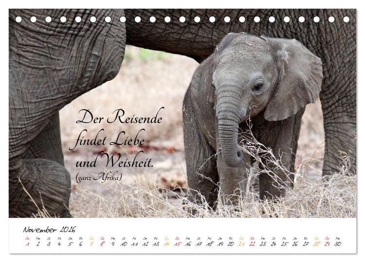 Produktbild: AFRIKA - Kontinent der Poesie (Tischkalender 2026 DIN A5 quer), CALVENDO Monatskalender