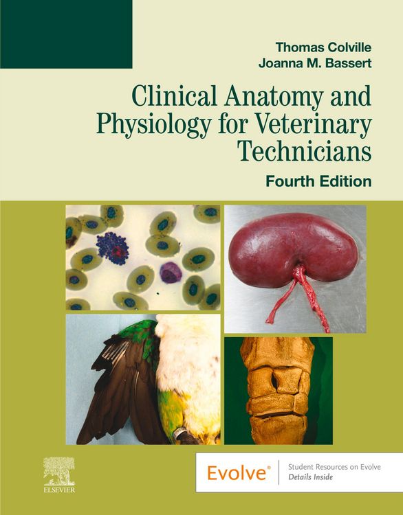 Produktbild: Clinical Anatomy and Physiology for Veterinary Technicians - E-Book