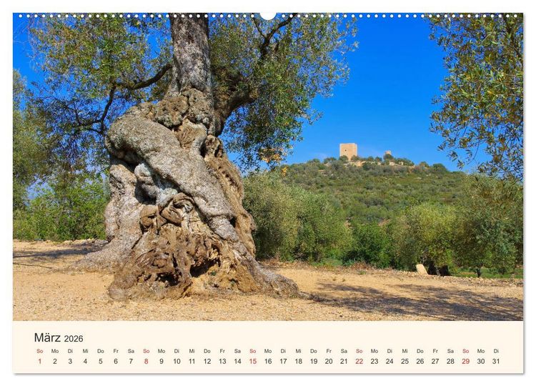Produktbild: Costa Dorada - Die Goldene K&uuml;ste Spaniens (hochwertiger Premium Wandkalender 2026 DIN A2 quer), Kunstdruck in Hochglanz