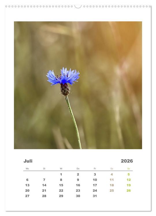 Produktbild: Minimalistisch, Gr&auml;ser, Bl&uuml;ten, Bl&auml;tter und Zweige im Fokus (Wandkalender 2026 DIN A2 hoch), CALVENDO Monatskalender