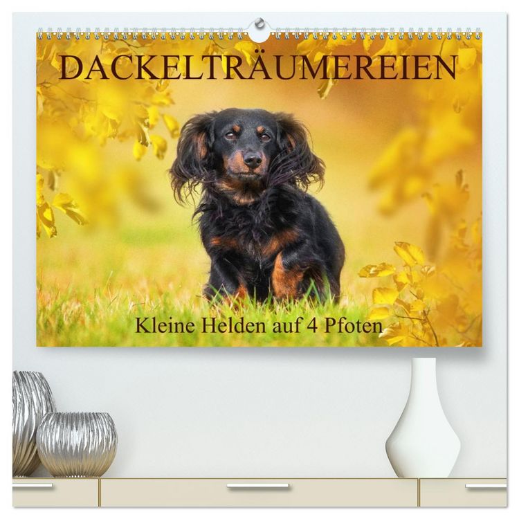Produktbild: Dackeltr&auml;umereien - Kleine Helden auf 4 Pfoten (hochwertiger Premium Wandkalender 2026 DIN A2 quer), Kunstdruck in Hochglanz