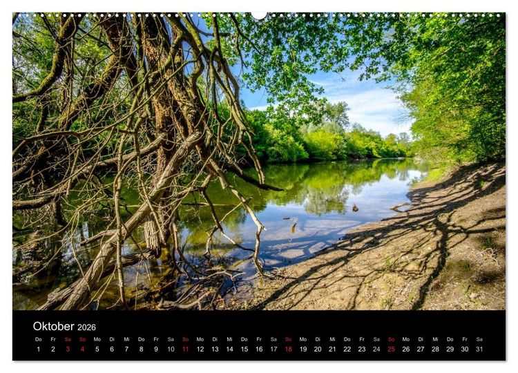 Produktbild: Mannheimer Waldpark (Wandkalender 2026 DIN A2 quer), CALVENDO Monatskalender