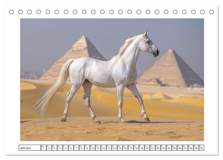 Produktbild: Bezaubernde Eleganz wei&szlig;er Pferde (Tischkalender 2026 DIN A5 quer), CALVENDO Monatskalender