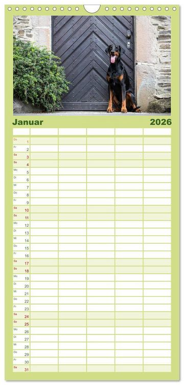 Produktbild: Familienplaner 2026 - Dobermann mit 5 Spalten (Wandkalender, 21 x 45 cm) CALVENDO