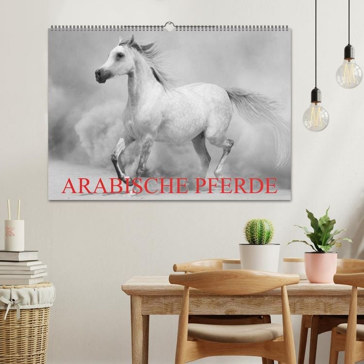 Produktbild: Arabische Pferde (Wandkalender 2026 DIN A2 quer), CALVENDO Monatskalender