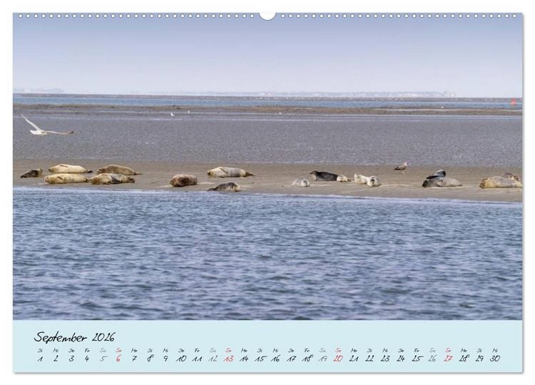 Produktbild: Nordsee &ndash; D&uuml;nen, Sand, Wasser und Wolken (hochwertiger Premium Wandkalender 2026 DIN A2 quer), Kunstdruck in Hochglanz