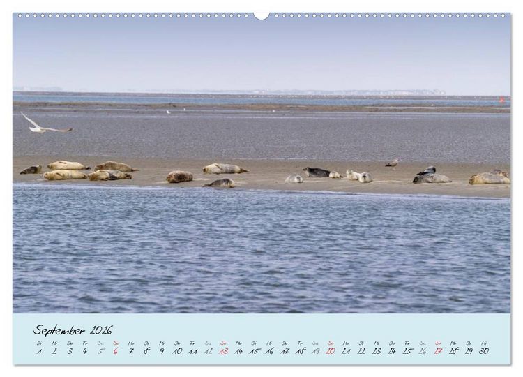 Produktbild: Nordsee &ndash; D&uuml;nen, Sand, Wasser und Wolken (Wandkalender 2026 DIN A2 quer), CALVENDO Monatskalender