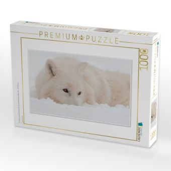 Produktbild: CALVENDO Puzzle Ein Motiv aus dem Kalender Emotionale Momente: Polarw&ouml;lfe. / CH-Version | 1000 Teile Lege-Gr&ouml;&szlig;e 64x48cm Foto-Puzzle f&uuml;r gl&uuml;ckliche Stunden