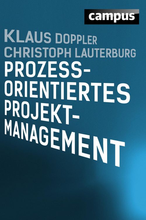 Produktbild: Prozessorientiertes Projektmanagement