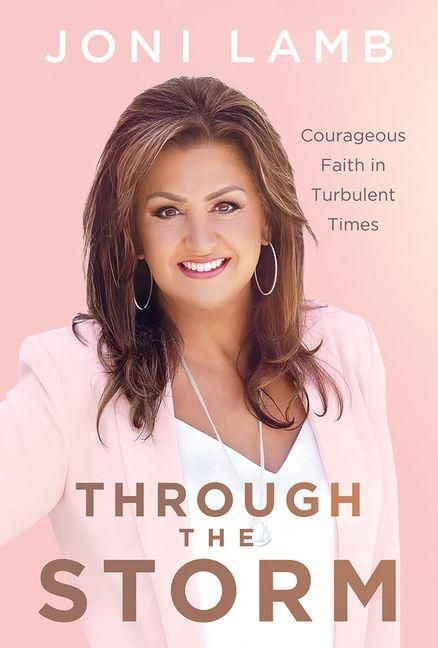 Produktbild: Through the Storm