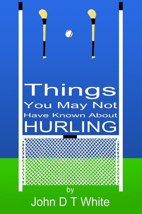 Produktbild: 101 Things You May Not Have Known About Hurling
