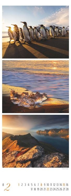 Produktbild: Colours of Nature - Triplets 2026 - Streifenkalender XXL 25x69 cm - Bildkalender im Hochformat - Naturkalender - Wandkalender - Wandplaner